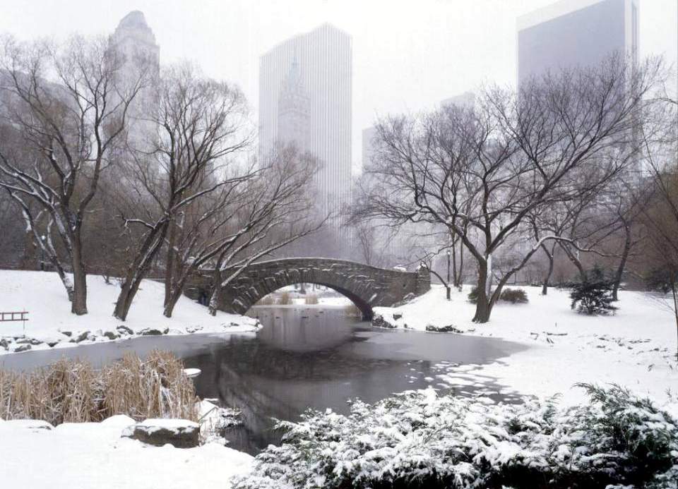 Central Park - New York City