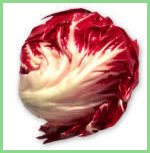 radicchio di chioggia