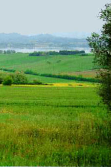 zona lago trasimeno