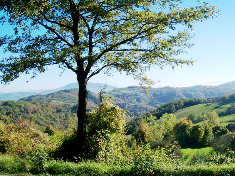 Sfondi panorama dell'Umbria