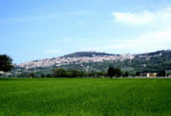 Assisi